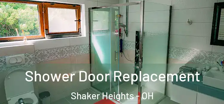 Shower Door Replacement Shaker Heights - OH